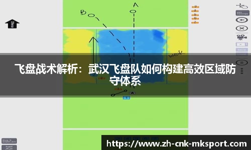 飞盘战术解析：武汉飞盘队如何构建高效区域防守体系