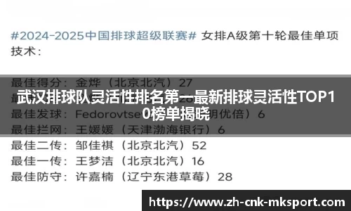 武汉排球队灵活性排名第一最新排球灵活性TOP10榜单揭晓